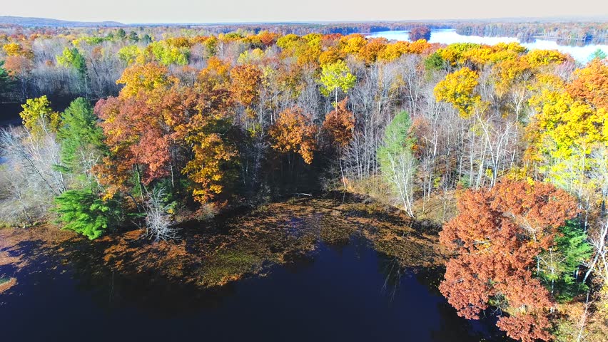 Autumn in Northern Wisconsin, scenic drone view of amazing colorful forests along the Peshtigo River.