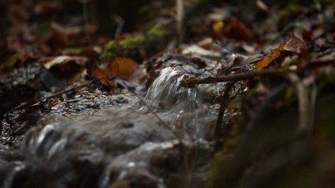 Closeup video of a tiny creek with small amount of pure mountain running water over soil and autumn foliage. 