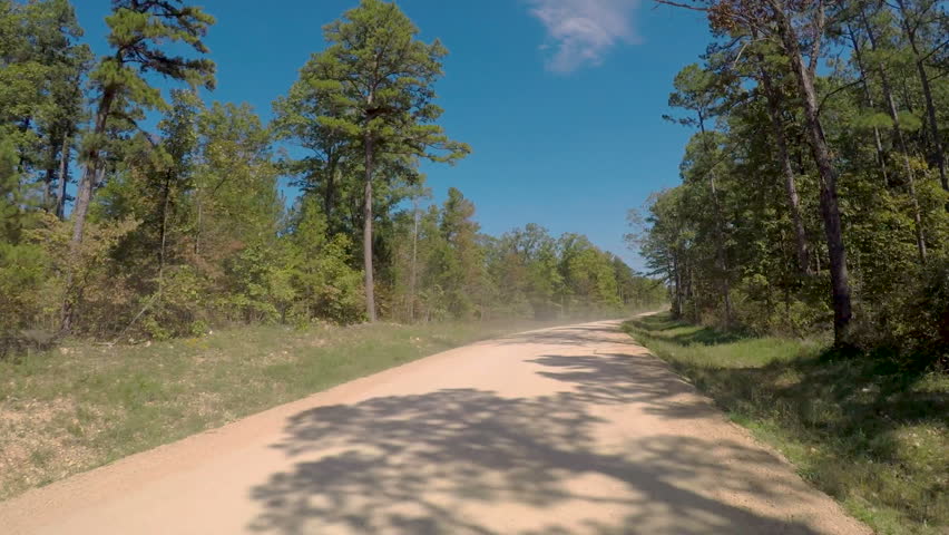 Drive plate POV driving on dirt road through a Missouri pine forest