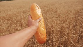 man holds a loaf in a wheat field.slow motion video. successful agriculturist in field of wheat. harvest time. bread baking vintage lifestyle agriculture concepts