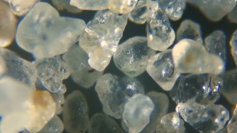 Sand from the sea beach under the microscope.