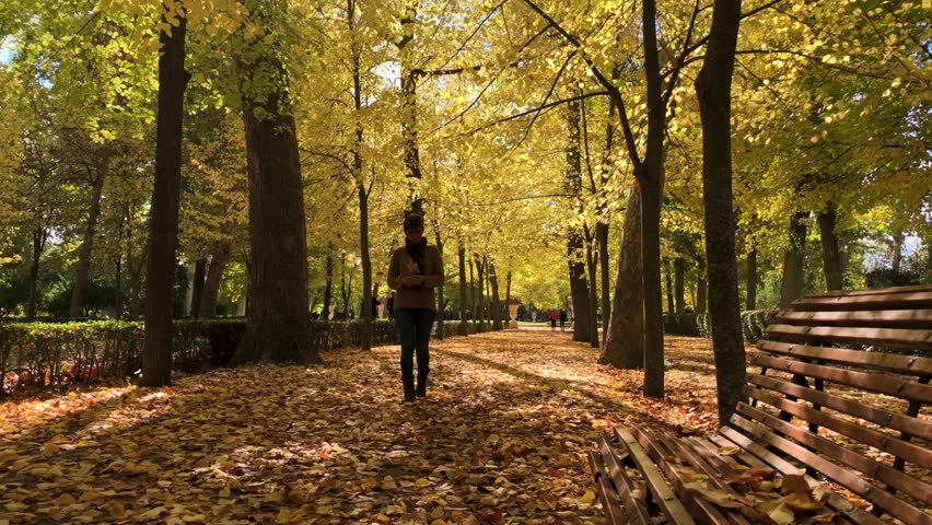 A woman enjoys autumn picking up dry leaves in a park