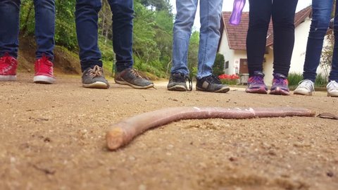 Smallhead Worm Lizard recorded in Vargem Alta, Espírito Santo, Southeast of Brazil. The animal crawls along the sand. In the background legs and feet of people watching the animal. 