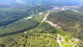 4K aerial of flying over a beautiful Green forest in mountain in summer a rural landscape, Crimea. Aerial view camera moves rising up from forest of dense tree tops of pine trees and birches.