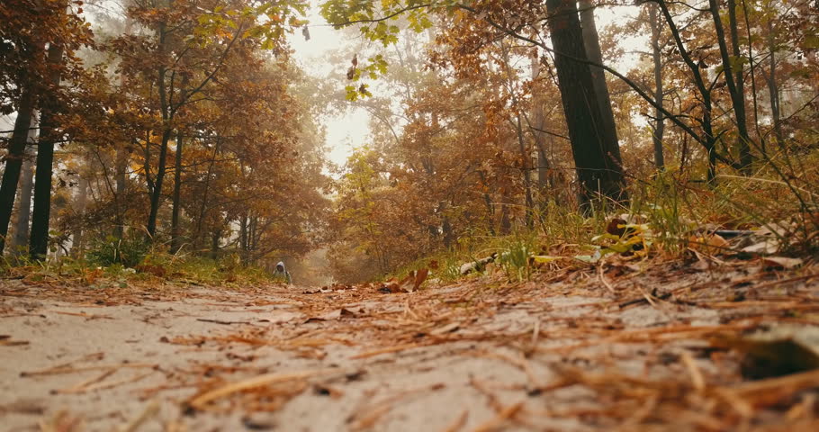 AERIAL Runner running on a gravel country road on a foggy morning