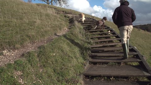 Retired man with grey hair wearing wellington boots walking up steps with his dogs on St Catherine's Hill iron age hill fort in Winchester, Hampshire, UK, on a sunny Autumn day