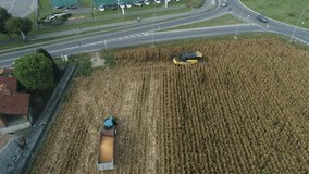 Aerial Drone footage view Combine Harvester gathers corn, Harvesting grain field, crop season in Lombardy Italy // no video editing