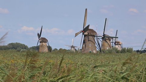 Windmills In Kinderdijk, Netherlands