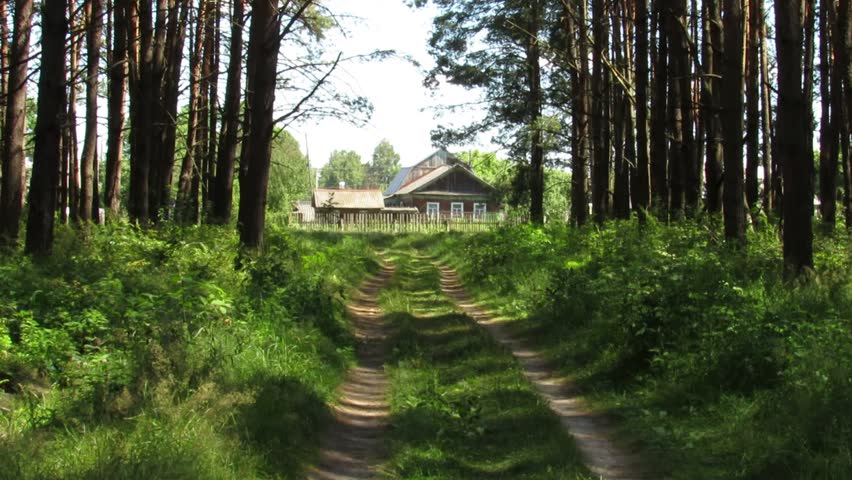 village house at the end of the path in the middle of a forest of ship pines