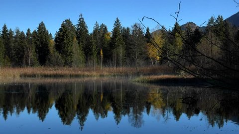 Germany,Bavaria,sunny clearing woodlands at the "Schwanensee" on a beautiful autum day,October 2018,
