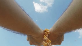 Hands full of corn seed, close up of farmer handful of harvested maize kernels in tractor trailer, slow motion - Powered by Shutterstock - Get 15% off with code: PIKWIZARD15