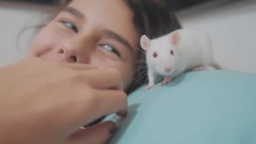 little girl is played on a bed with a white homemade handmade rat mouse. funny video rat crawling over a lifestyle little girl. girl and white mouse pet concept