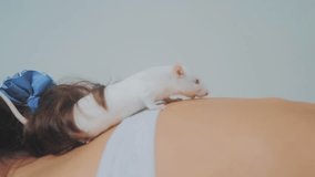 little girl is played on a bed with a white homemade handmade rat mouse. funny video rat crawling over a little girl. girl and lifestyle white mouse pet concept