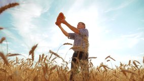 old farmer man silhouette baker holds a golden bread and loaf in ripe wheat field against the blue sky. slow motion video. successful lifestyle agriculturist in field of wheat. harvest time. old man