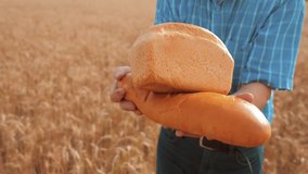 old farmer man baker holds a golden bread and loaf in wheat field against the blue sky. slow motion video. successful agriculturist in field of wheat. harvest time lifestyle. baker bread baking