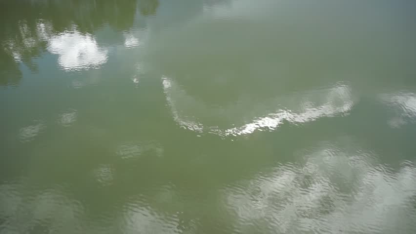 The water is a small wave on the river.