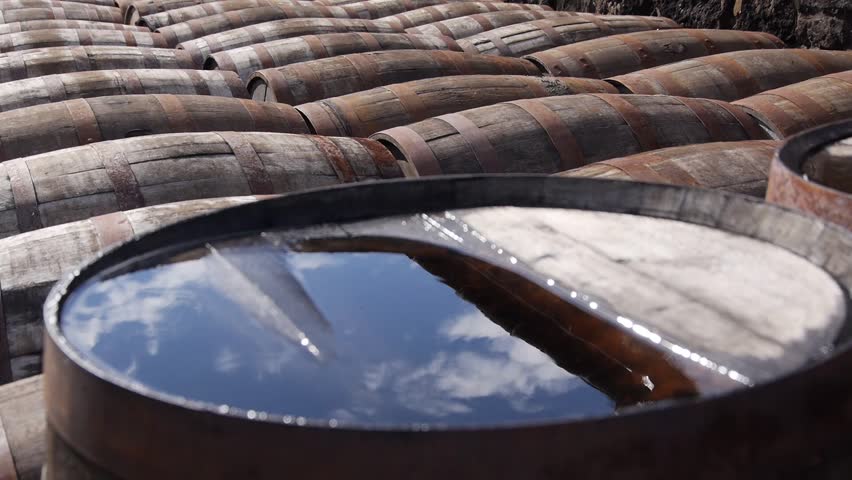 Multiple Aging Whiskey Barrels in Rows with Foreground Barrel with Water Reflecting Clouds