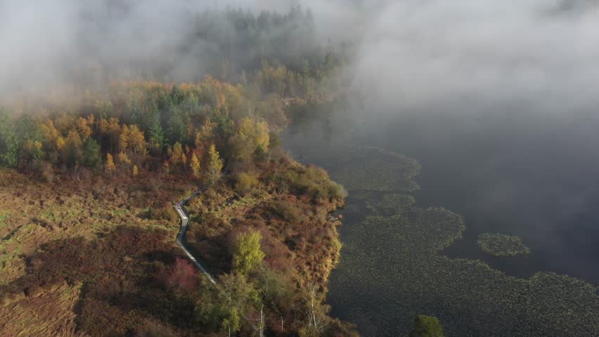 Beautiful mountain and forest lake in Vancouver, British Columbia, Canada. Drone flying aerial view. 4k.
