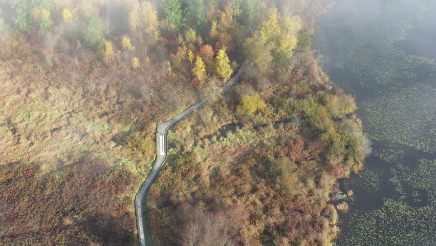 Beautiful mountain and forest lake in Vancouver, British Columbia, Canada. Drone flying aerial view. 4k.