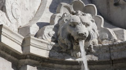 Fountain-lion. A jet of water gushes from the mouth of a sculpted lion fountain