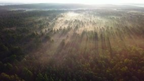 4k AERIAL: Flight over foggy meadow with spectacular long sunbeams. 3840x2160, 30fps.	