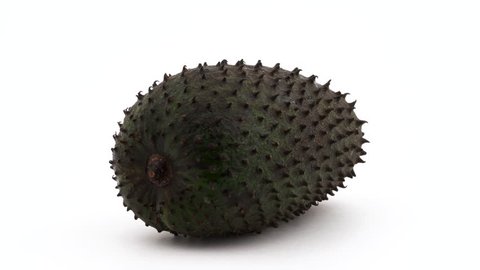 One whole guanabana fruit with water drops. Rotating on the turntable. Isolated on the white background. Close-up. Macro.