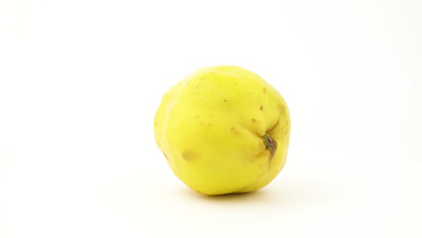 One whole yellow quince fruit. Rotating on the turntable. Isolated on the white background. Close-up. Macro. Royalty-Free Stock Footage #1019542780