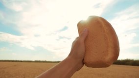 man holds a golden bread in a wheat field against the blue sky. slow motion video. successful agriculturist in field of wheat . harvest time. lifestyle bread baking vintage agriculture concept