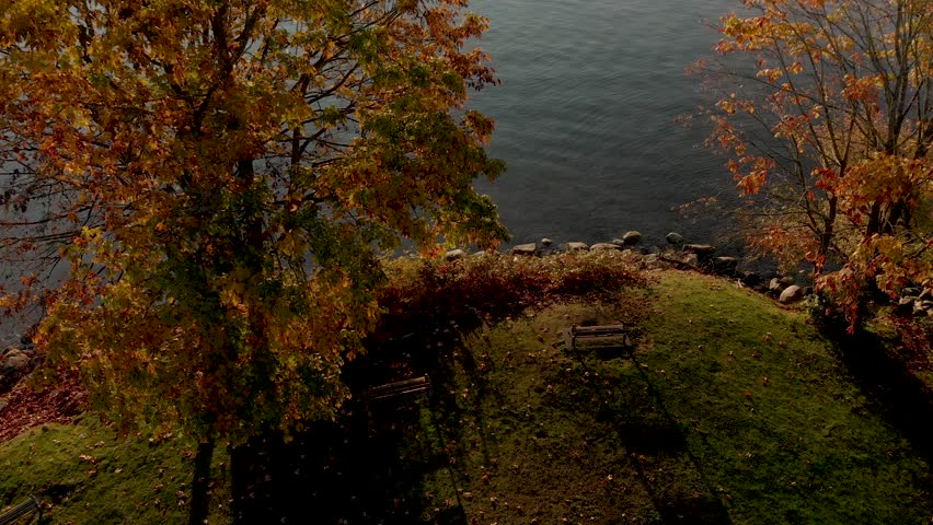 A tranquil city park near the ocean with a solitary park bench at sunrise.