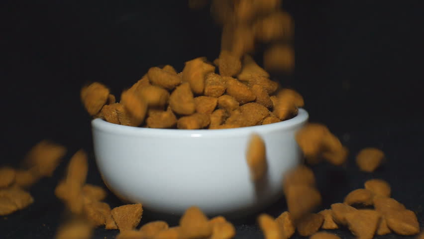 SLOW: A pet food falls down into a pet bowl. Royalty-Free Stock Footage #1019578861