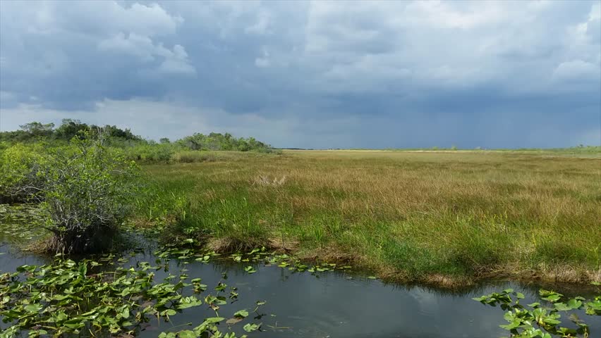 Landscape of wilderness in the Everglades National Park, Florida, USA