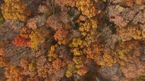 Aerial drone flight over Mount Hope Historical Park, in New Jersey on a sunny autumn day (forward motion with camera up tilt)