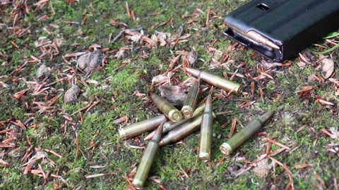 Close up of bullets / bullet shells and magazine clip or cartridge on the ground in the forest.