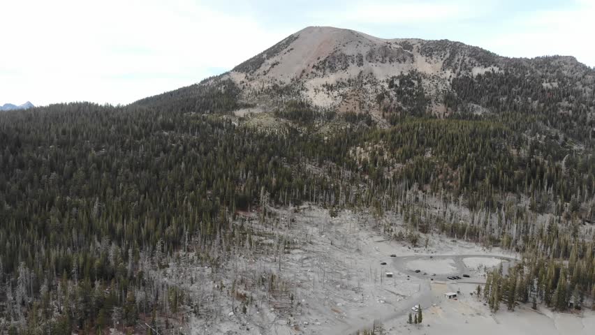 Trees at Mammoth Mountain, California
