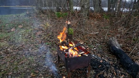 Bonfire in the forest in windy weather
