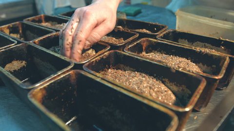 Bread making. Confectionery worker makes bread with sunflower seeds and sesame. 