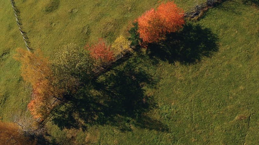 Colorful autumn hills