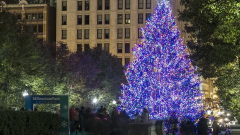 Time Lapse of the Chicago Christmas Tree and Tourists (zoom out)