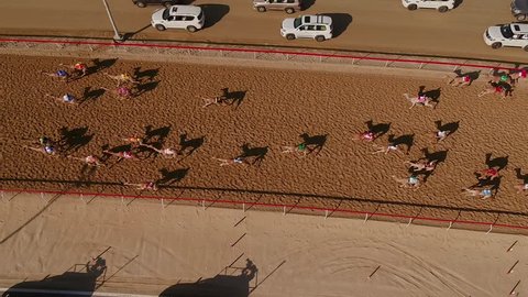 Aerial view over a group of camels during a race in the desert of Ras Al Khaimah, U.A.E.