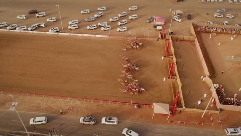 RAS AL KHAIMAH, U.A.E - DECEMBER 25 2017: Aerial view of starting line during camels race in the desert of Ras Al Khaimah, U.A.E.