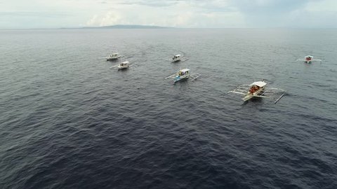 Aerial view of white traditional filipino boats near Panglao, Philippines.
