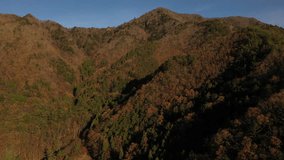 Aerial view of autumn foliage in the mountain at Yamanashi Prefecture, Japan.