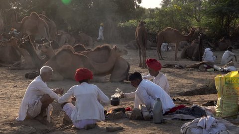 PUSHKAR, RAJASTHAN, INDIA - NOV 15: Rabari camel herders sit around smoky fire at sunrise on November 15, 2018 in Pushkar, Rajasthan, India