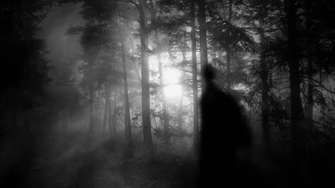 Male Ghost Silhouette In Foggy Forest
