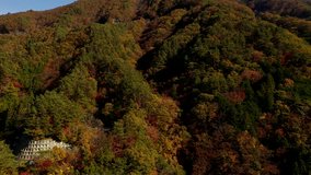 Aerial view of autumn foliage at the mountains in Yamanachi Prefecture, Japan.