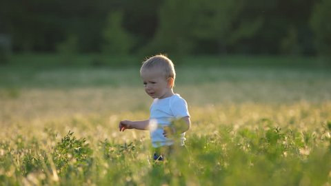 Baby in dandelion field walk and cry
