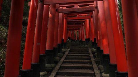 Fushimi Inari Taisha religios center in Kyoto, Japan with its countless torii gates