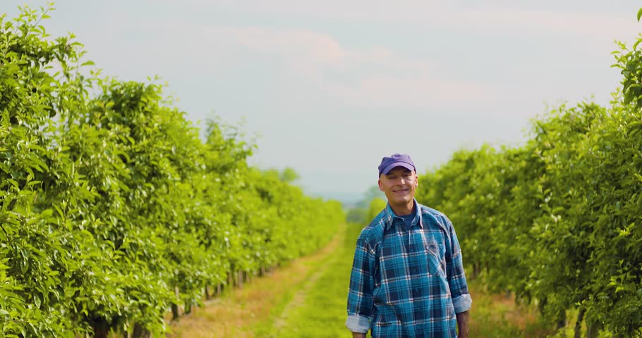 Male researcher looking at trees while writing on clipboard