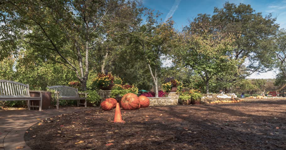 Time Lapse of a playground - family time - Dallas Arboretum