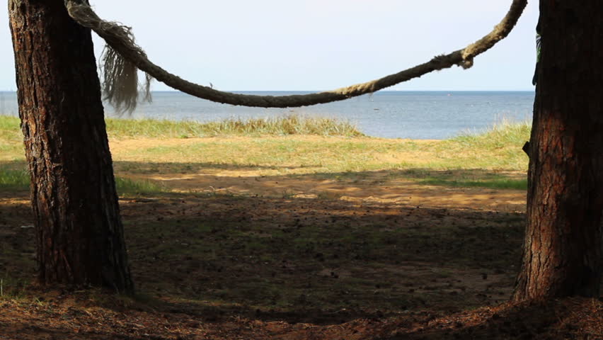 rope swing hang between two trees Stock Footage Video (100% Royalty-free) 1...